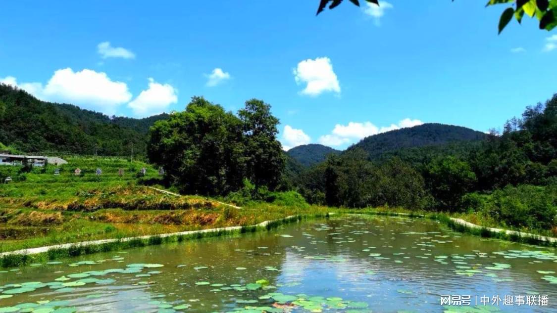 抖音双击谢谢的图片：中文手语司法认证标准正式施行_卡盟话费充值卡