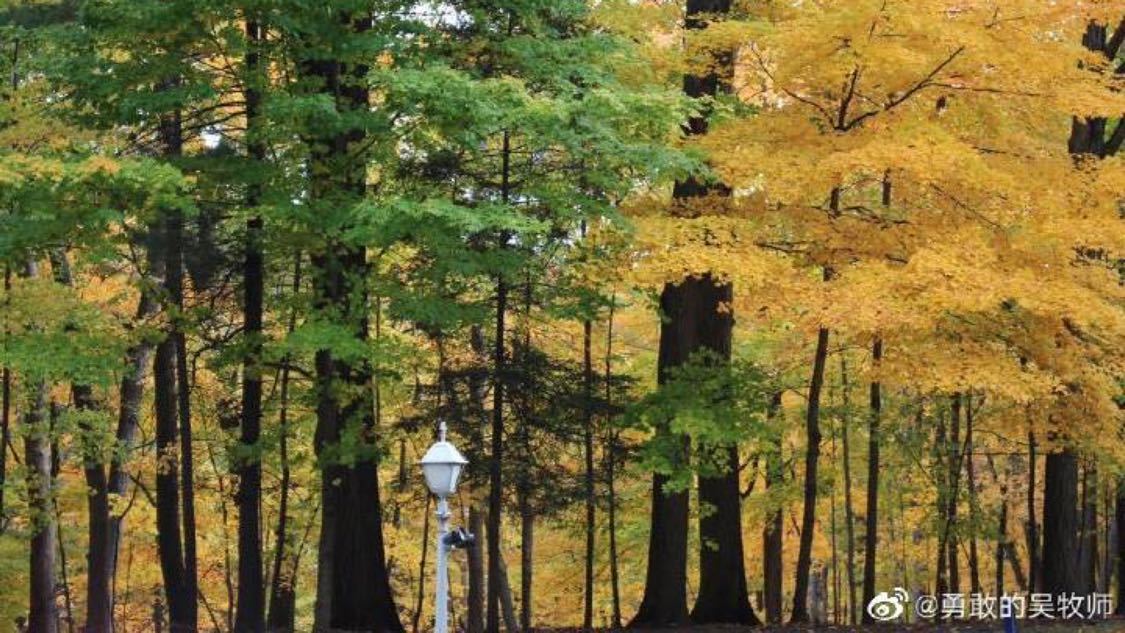 不久前知乎推广精准化定制您的财务系统:全天候在线,随时掌控推广效果,快手涨赞网址：快手视频制胜技巧提升点赞互动秘诀